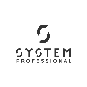 Logo System Professional